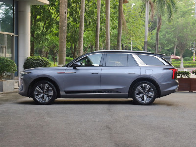 HongQi E-HS9  Фото №7